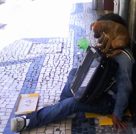 Rua Santa Catarina ( fotografei dado ao que o animal é capaz...)